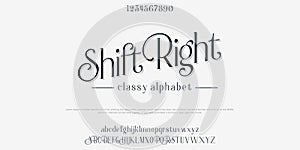 Custom font bundle script serif. Alphaber vector illustration