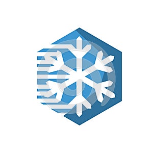 custom creative bold snowflake logo design illustration