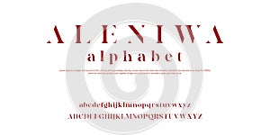 Tech Typeface font custom serif