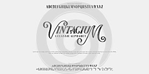 Custom font bundle script serif. aplhabet vector illustrations