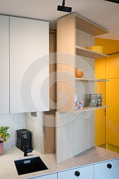 Custom kitchen cabinet with hidden circuit breaker box in small urban apartment