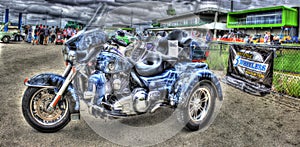 Custom painted Harley Davidson Trike