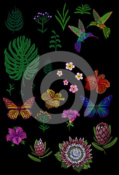 Custom tropic flower design. Set isolated exotic flower leaves plant, hummingbird butterfly. Monstera palm hibiscus