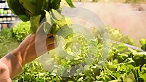 Customer chooses fresh organic spinach salad at supermarket close-up