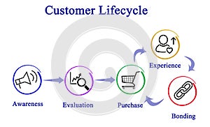 Customer lifecycle