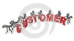 Customer support team