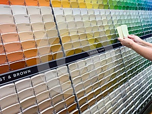 Customer Viewing Paint Swatches In Paint Store at Colorful Sample Rack