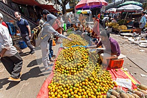 Customers of street market buying mandarins and lemons at farmer marketplace