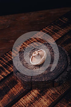 Cut agaric tricholoma mushroom on tree cut stand, wooden background. Fresh raw forest mushrooms, seasonal hunting, vertical shot photo