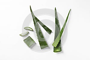 Cut aloe vera plant on white background, flat lay