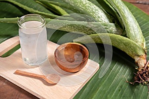 Cut aloe vera stem and gel in wooden bowl on wooden background, healthy food drink and skin care for beauty concept, copy space