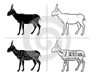 Cut of antelope set. Poster Butcher diagram - Saiga. Vintage typographic hand-drawn.