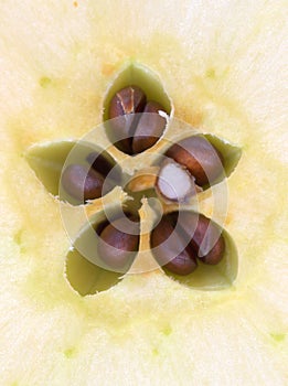 Cut apple core detail