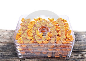 Cut apricots on dehydrator tray,fruit dryer