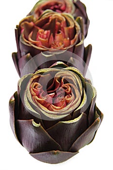 Cut artichokes isolated