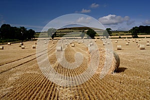 Cut and Baled