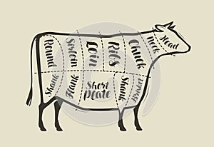 Cut of beef meat. Menu for restaurant or butcher shop. Vector vintage