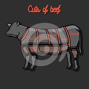 Cut of beef set.