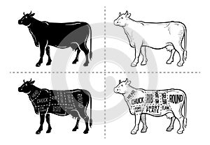 Cut of beef set. Poster Butcher diagram - Cow. Vintage typographic hand-drawn.