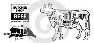 Cut of beef set. Poster Butcher diagram - Cow. Vintage typographic hand-drawn.