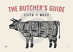 Cut of beef set. Poster Butcher diagram and scheme - Cow. Vintage typographic hand-drawn. Vector illustration.