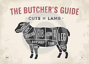 Cut of beef set. Poster Butcher diagram and scheme - Lamb. Vintage typographic hand-drawn. Vector illustration.