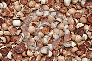 The cut Betel nut or Areca catechu