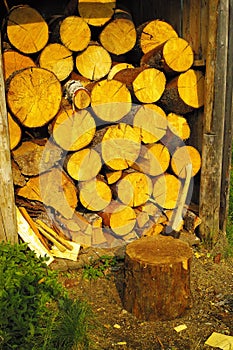 Cut blocks at wood-shed in tayga forest