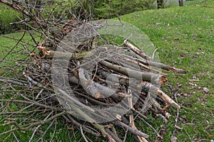 Cut branches stack pile heap mound wood