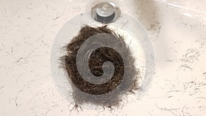 Cut brown hair with dandruff in white bathroom sink