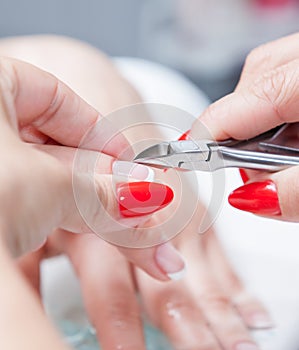 Cut cuticle on the female forefinger photo