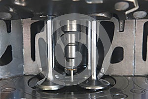 Cut of the diesel engine cylinder