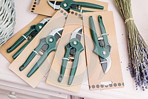 Cut dry lavender inflorescences and a garden pruner. Florist tool kit, pruner, scissors