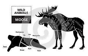 Cut of elk set. Poster Butcher diagram - desert-ship. Vintage typographic hand-drawn.