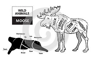 Cut of elk set. Poster Butcher diagram - desert-ship. Vintage typographic hand-drawn.