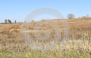 Cut Field  in November under Blue Sky