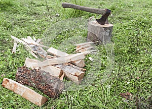 Cut firewood and old axe on green grass. Environmental concept