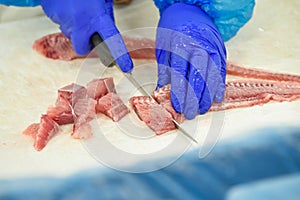 Cut fish fillet in a fish shop, chef cutting red fish in the kitchen