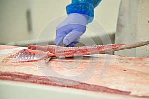 Cut fish fillet in a fish shop, chef cutting red fish in the kitchen