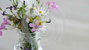 Cut flowers stem beatiful background rotating