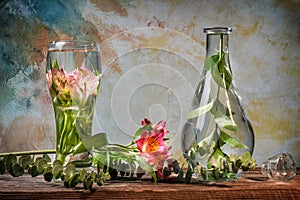 Cut flowers and tropical plants in a glass of water on a barn wood table