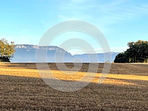 Cut Grain Field Irache Spain on the Camino de Santiago photo