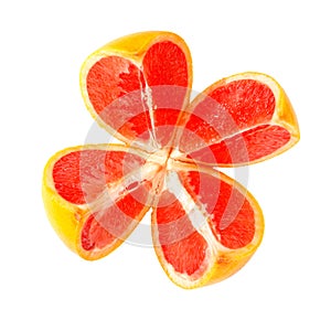 Cut grapefruit photo