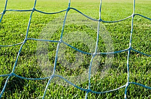 Cut grass seen from behind a football goal net