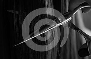 Cut hair of a woman, close up. Hairdresser hold scissors closeup. Haircut concept.