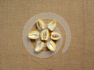 Cut halves of yellow Dates