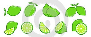 Cut lime. Fresh citrus fruit, slice and leaves. Isolated green lemon illustration, juicy organic fresh detox vitamin