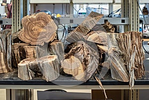 Cut Logs at Dendrochronology Lab studying Tree Rings photo