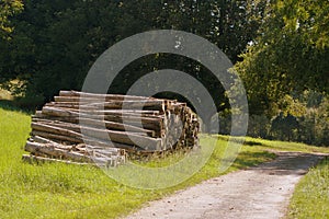 Cut logs in the Indre region of France