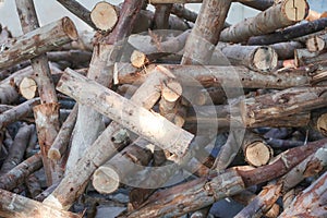 Cut logs pile used in dark tone